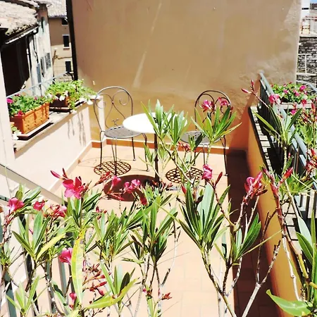 Signa Perugia